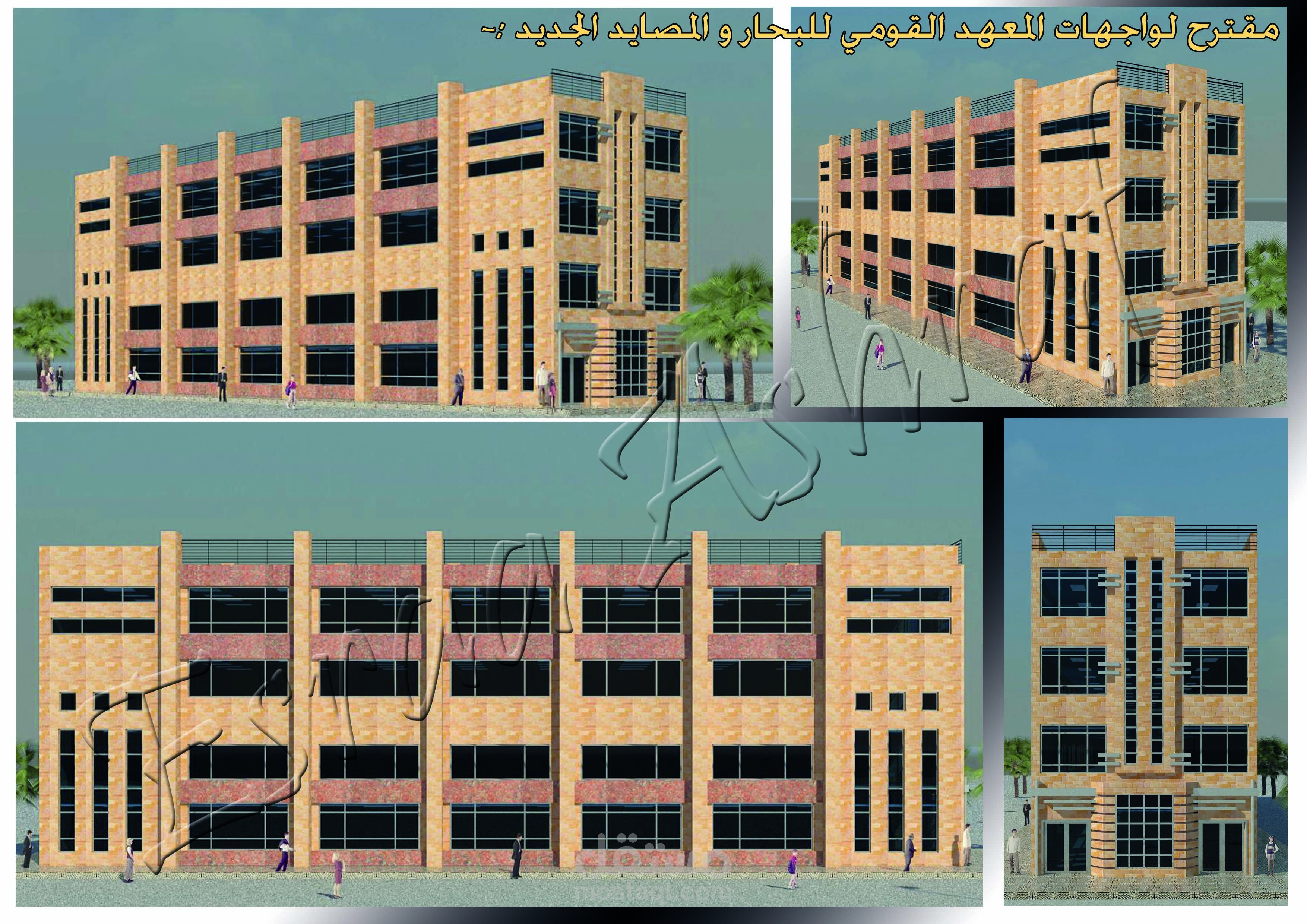 مقترح لواجهات المعهد القومي للمصايد و البحار بالاسكندرية