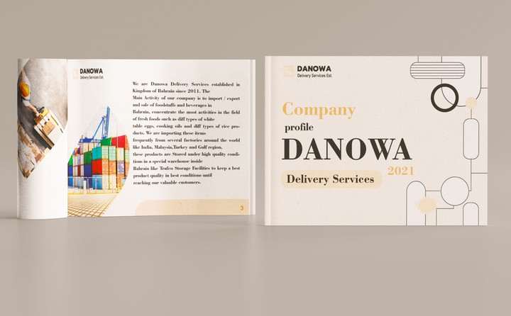 بروفيل شركه DANOWA