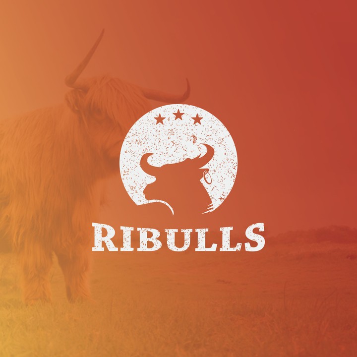 Ribulus Logo and Brand Design