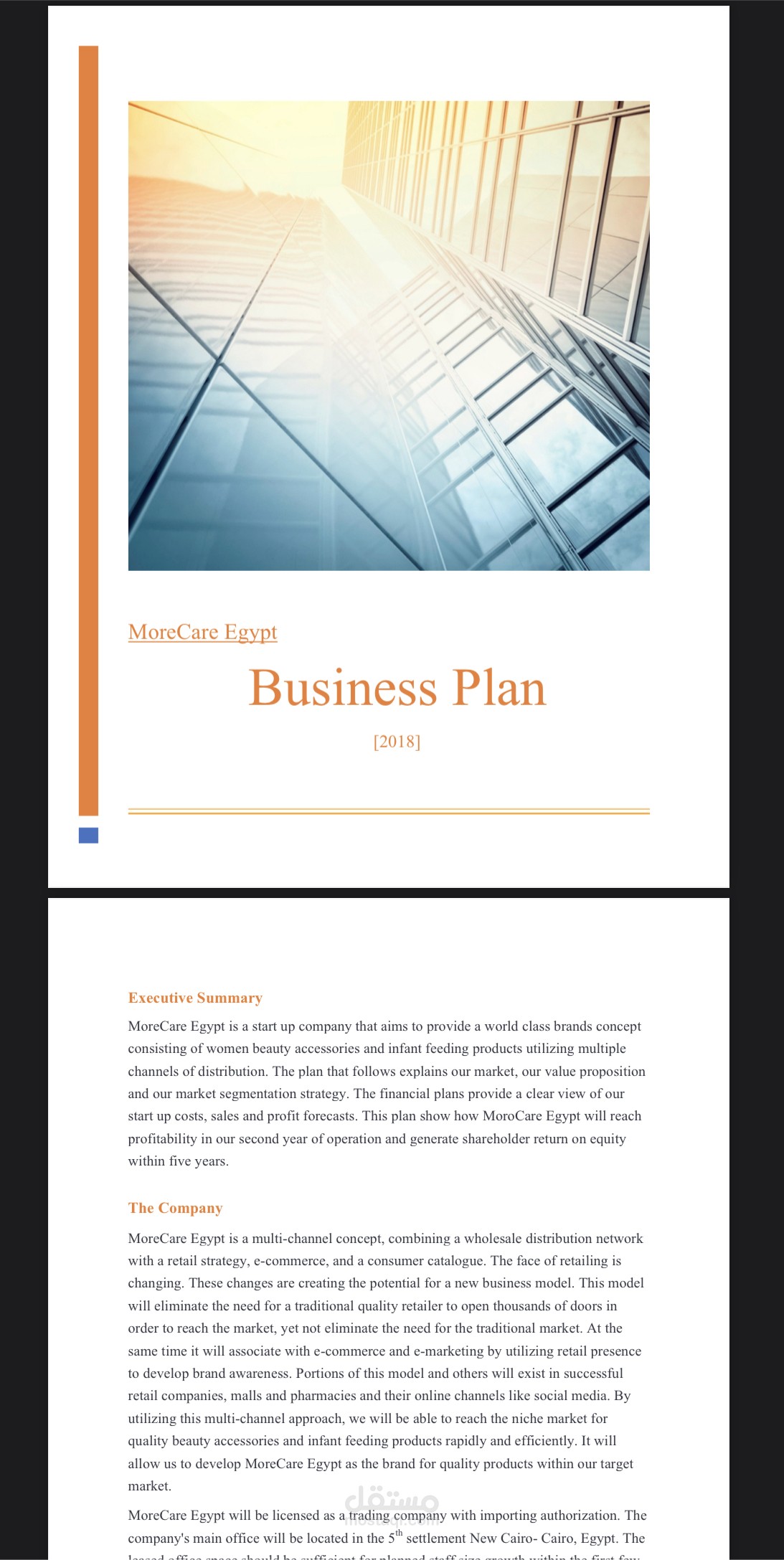 Business Plan