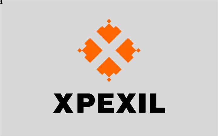 برزنتيشن لشركة XPEXIL