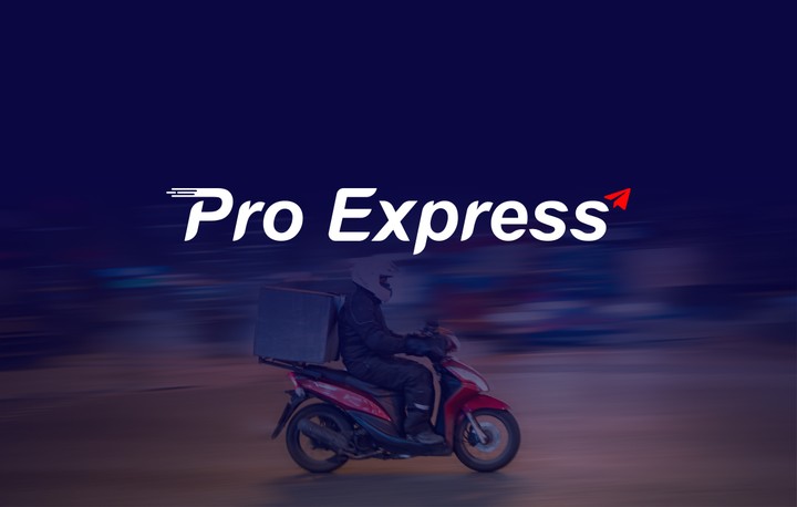 Pro Express Log & Brand Identity