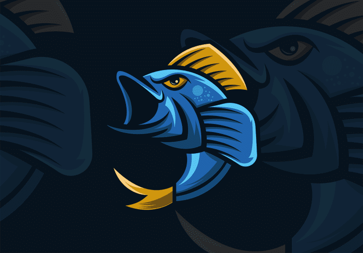 FISH ILLUSTRATION