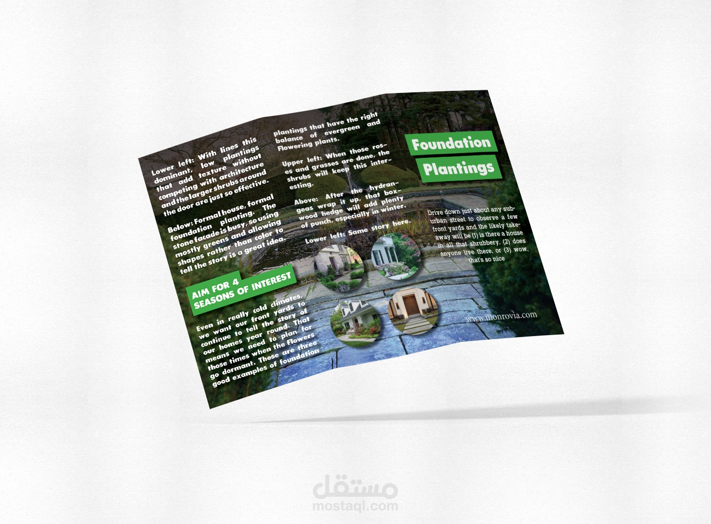 تصميم مطوية  Trifold brochure.