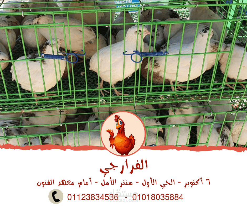 دعاية على الفيس بوك