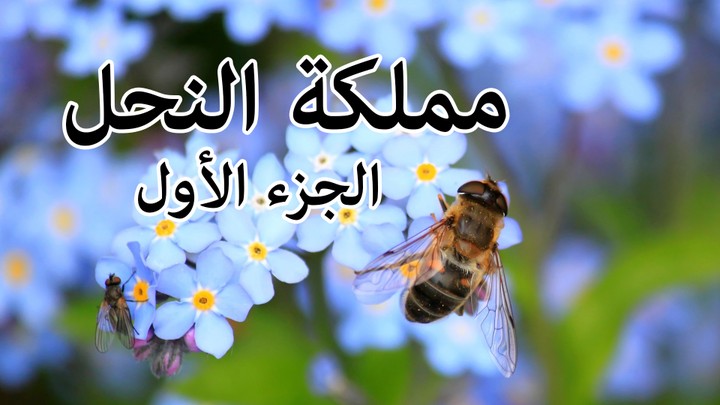 فيديو بتعليقي الصوتي عن النحل