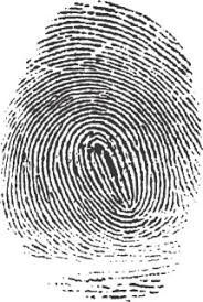 Forensics Fingerprint Elicitation System