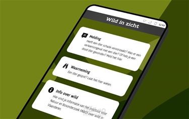 WildInZicht