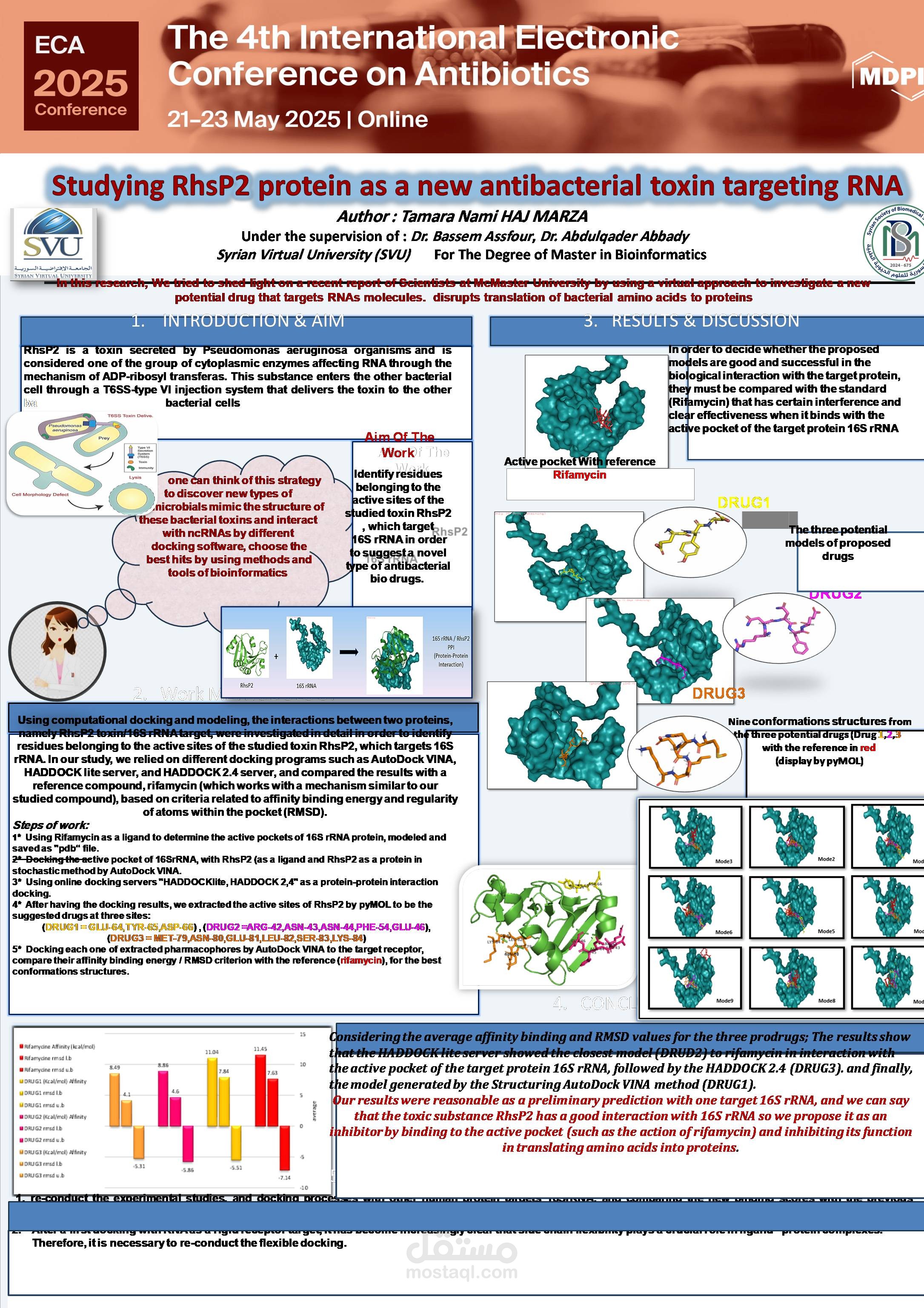 بوستر بعنوان : Studying RhsP2 protein as a new antibacterial toxin