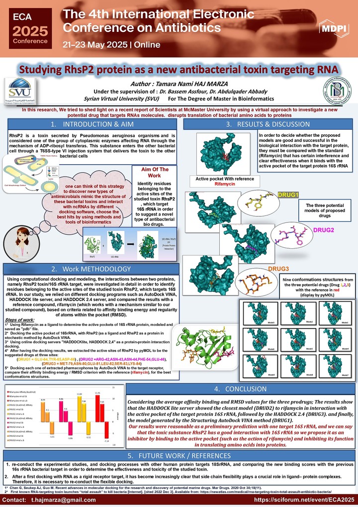 Studying RhsP2 protein as a new antibacterial toxin