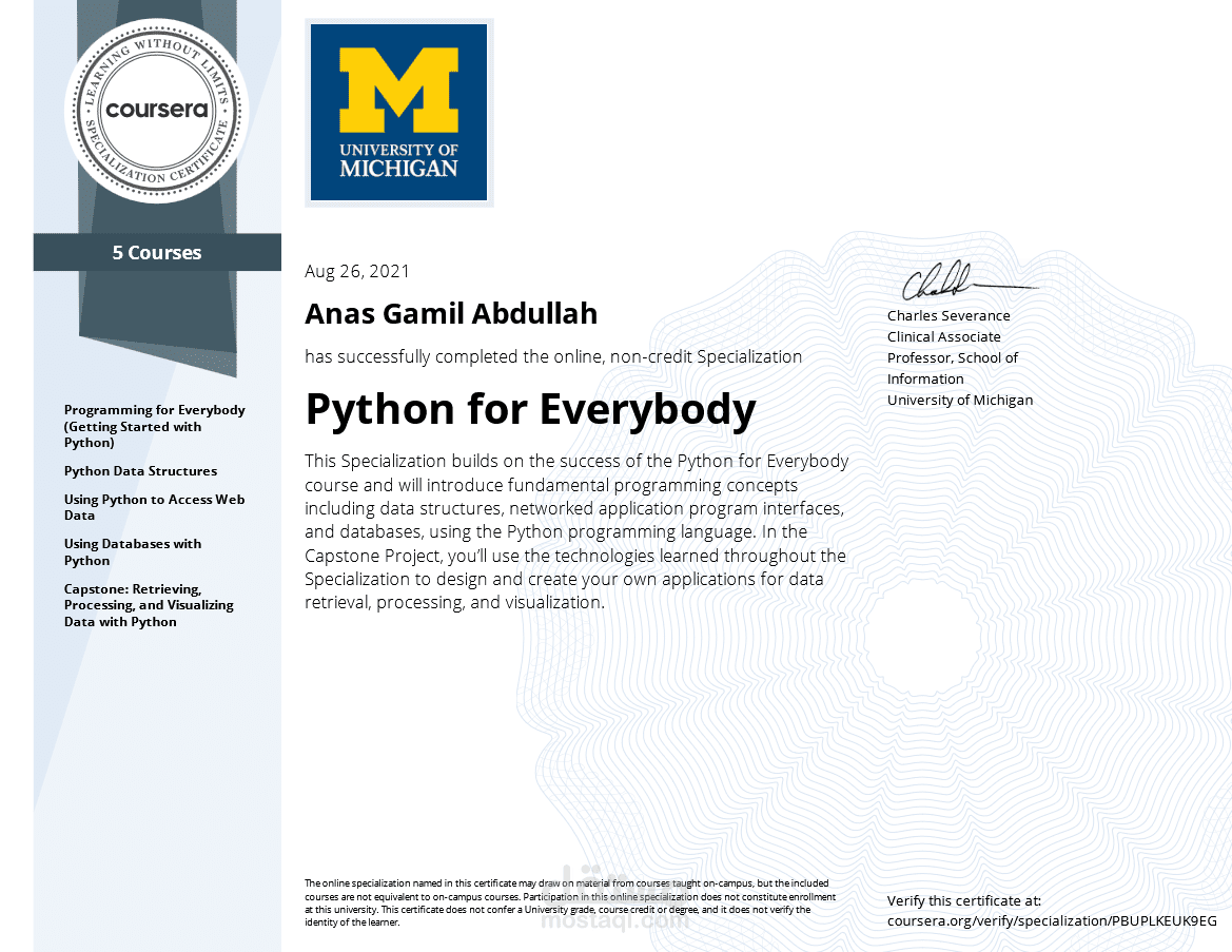 Data Analyst