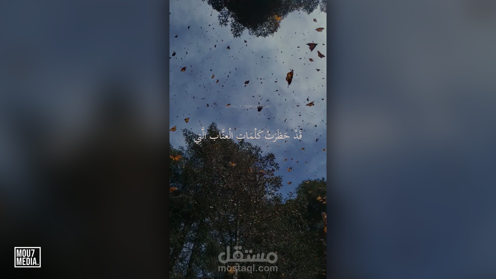 فيديو لكلمات من رواية أبابيل بصوت الكاتب أحمد ال حمدان 1