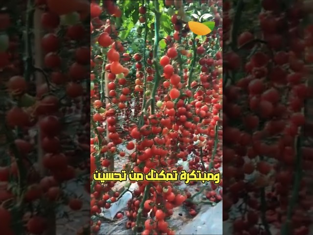 اعلان تطبيق عالم النباتات