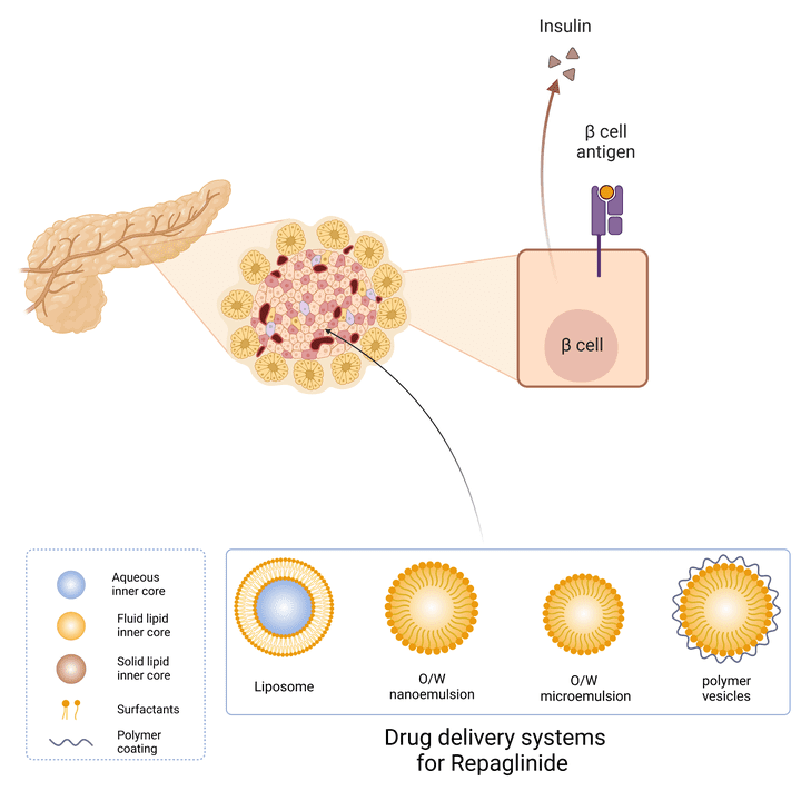 Drug delivery system for repaglinide