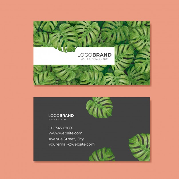 elegant-business-card-with-tropical-leaves_125540-86