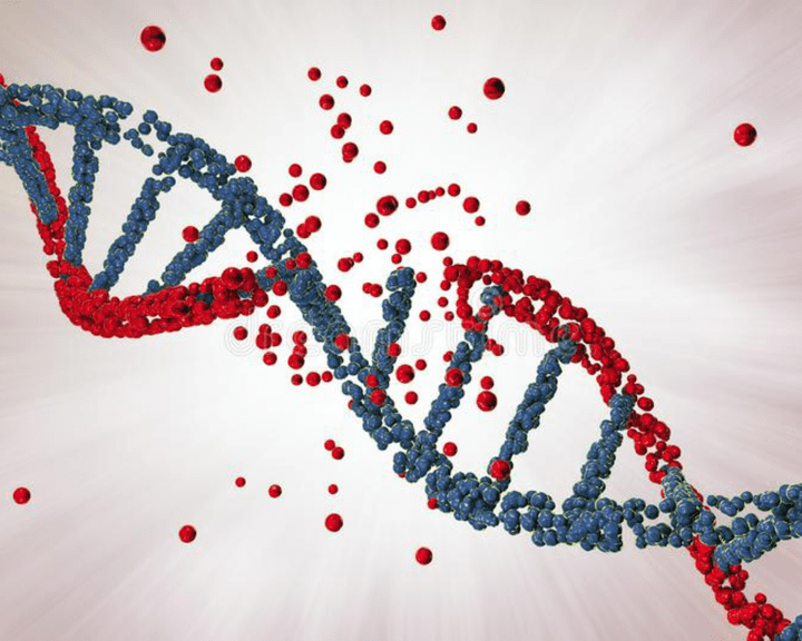 كتابة بحث علمي عن DNA Damage