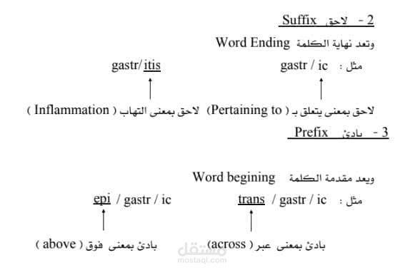 أفضل كتاب للمصطلحات الطبية