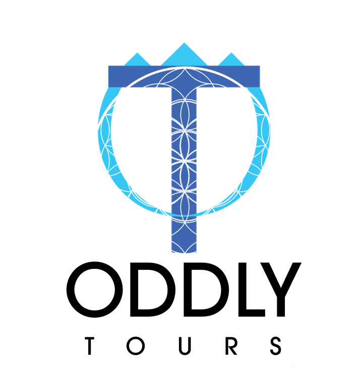 oddly tours travel agency