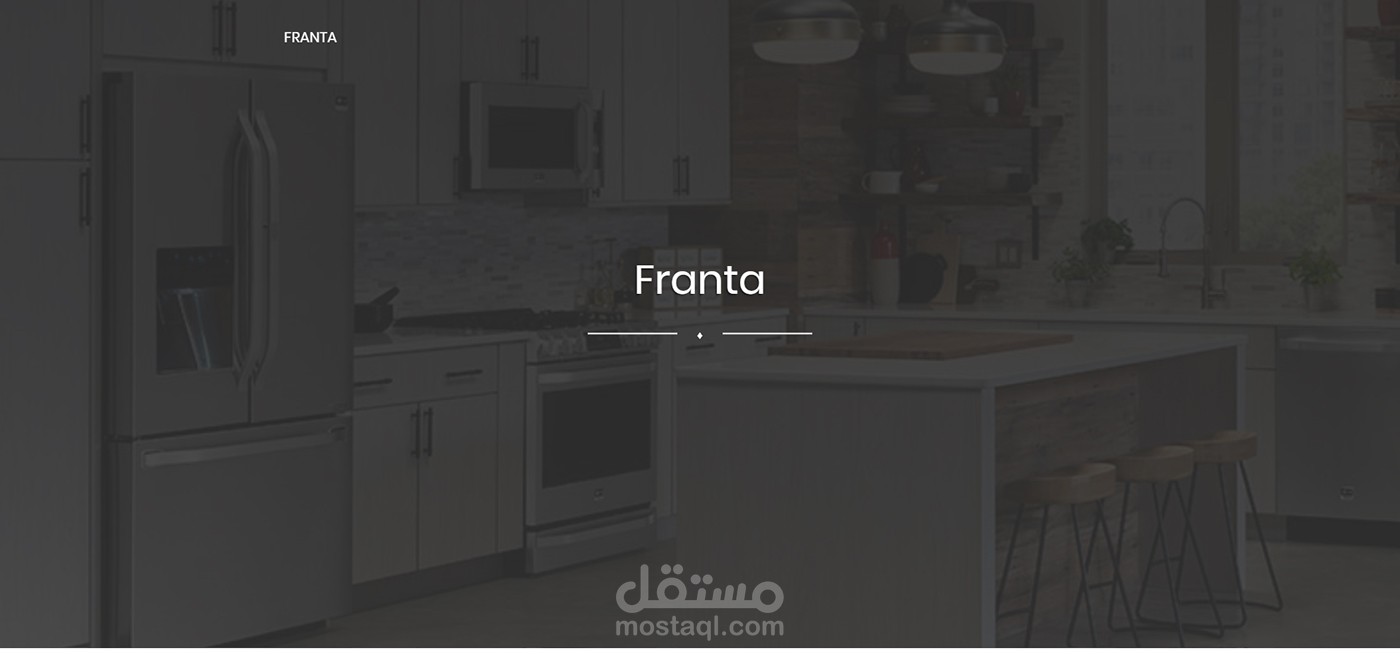 تصميم وبرمجة موقع Franta