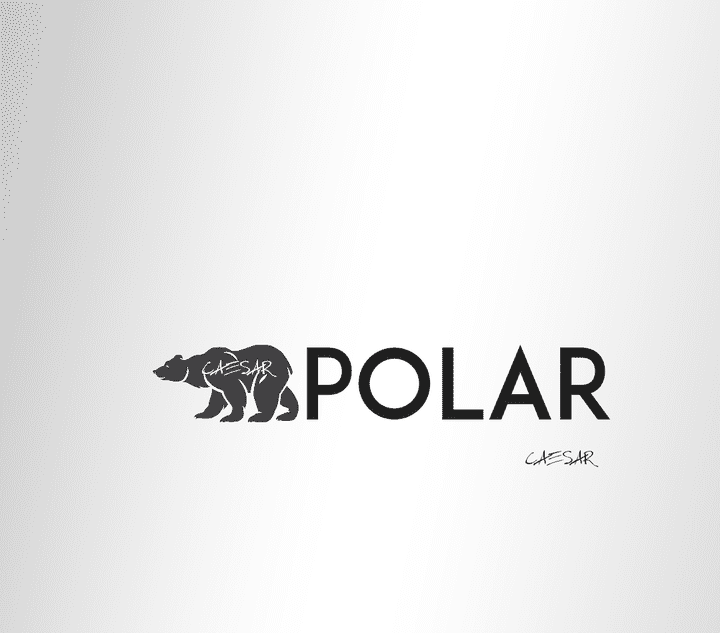 LOGO FOR POLAR COMPANY