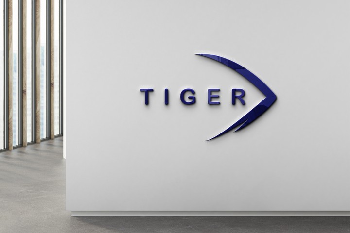 Tiger  logo & brand identity