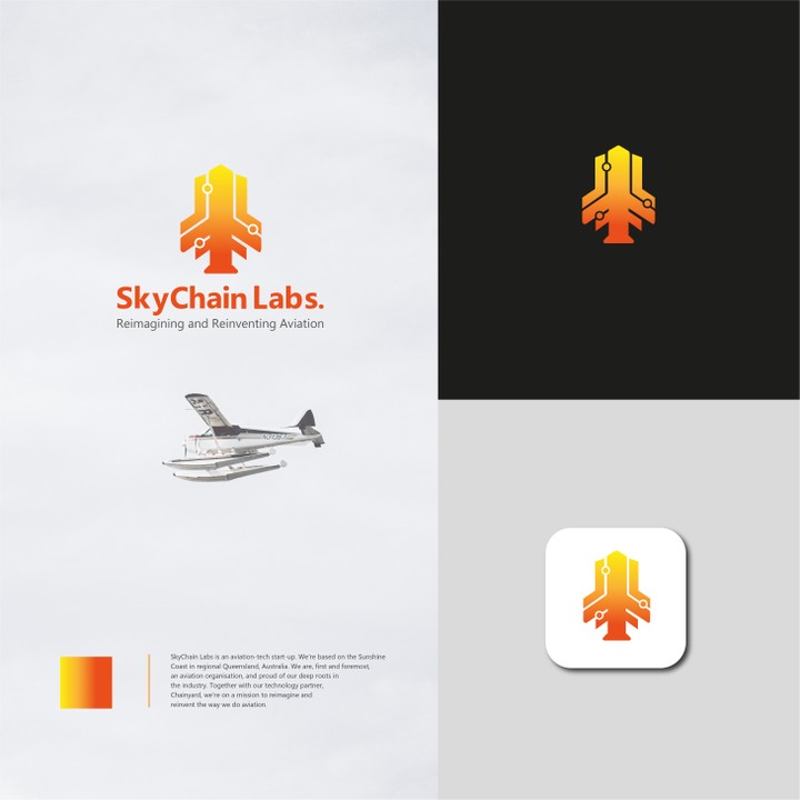 SkyChain labs