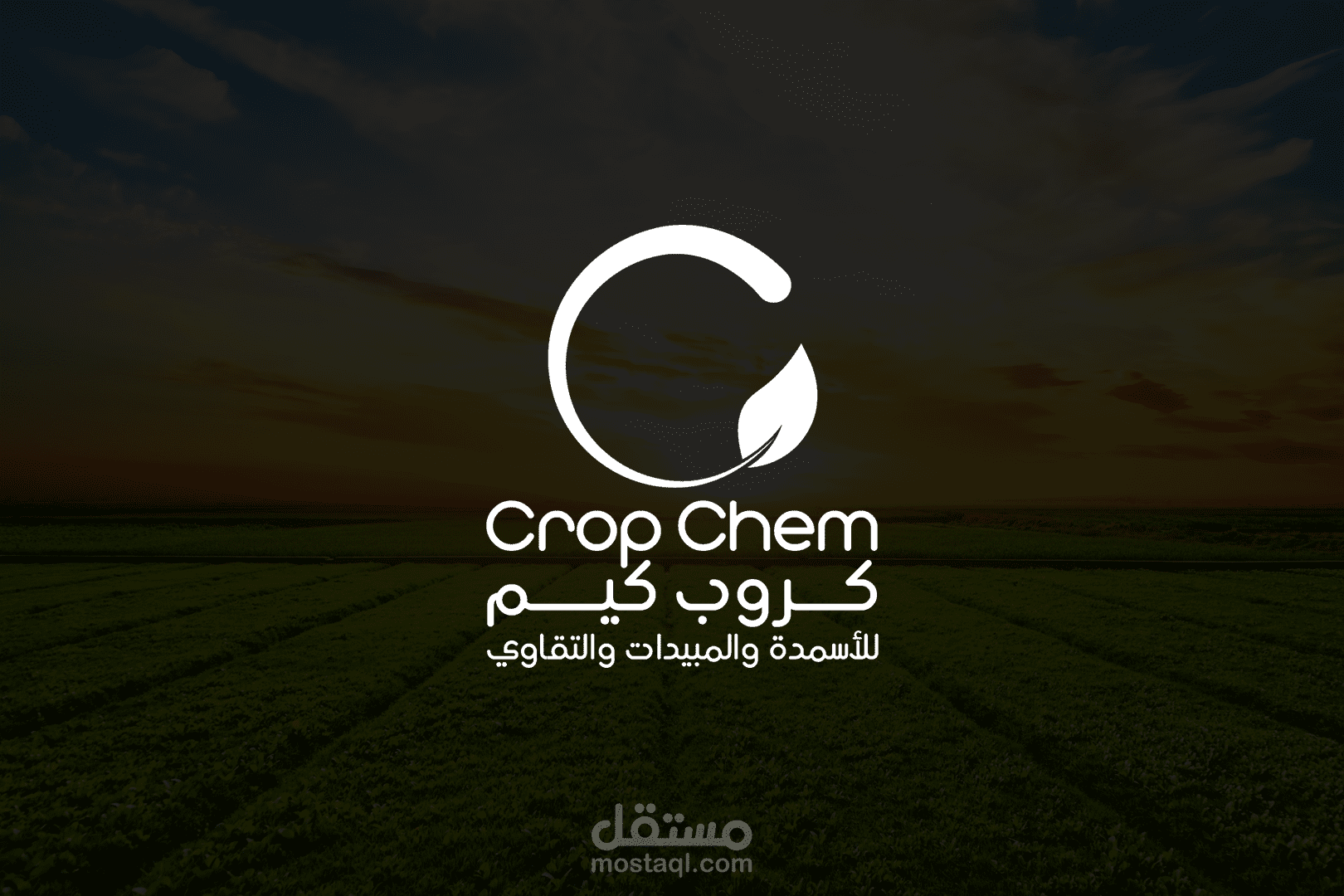 هوية بصرية كاملة لشركة مبيدات حشرية