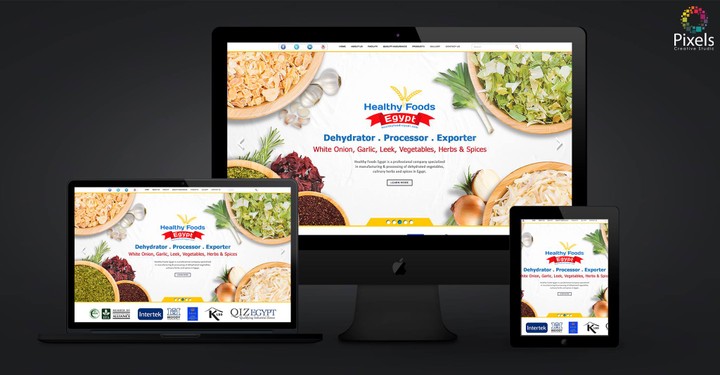 Healthy Foods Egypt website