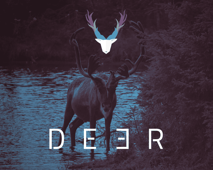 تصميم شعار وهوية بصرية لشركه Deer