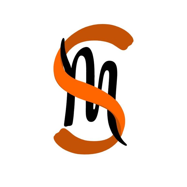 MS logo