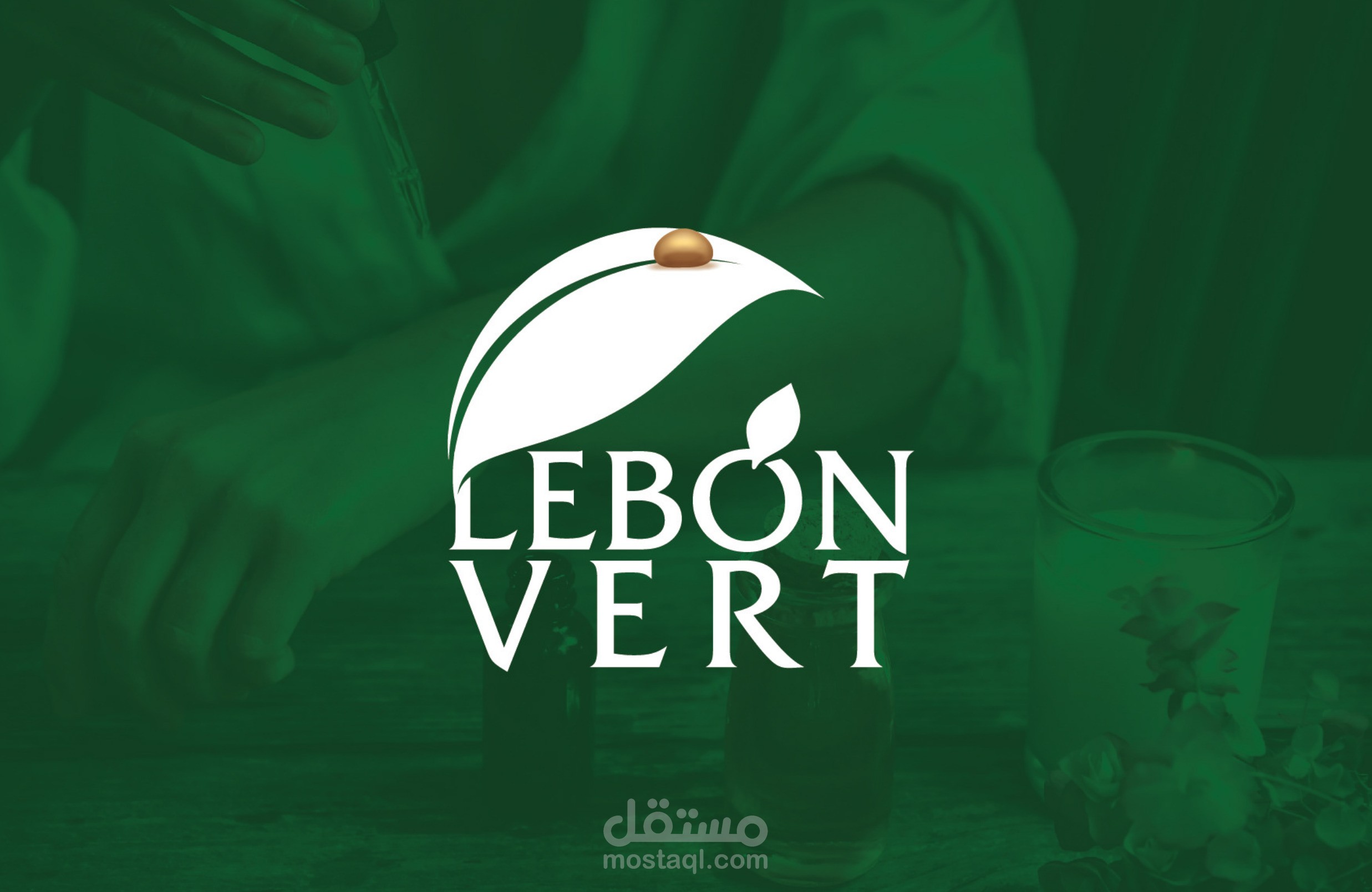 logo LeBonVert