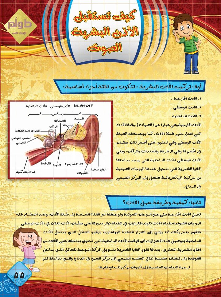 كيف تستقبل الأذن البشرية الصوت - مجلات أطفال