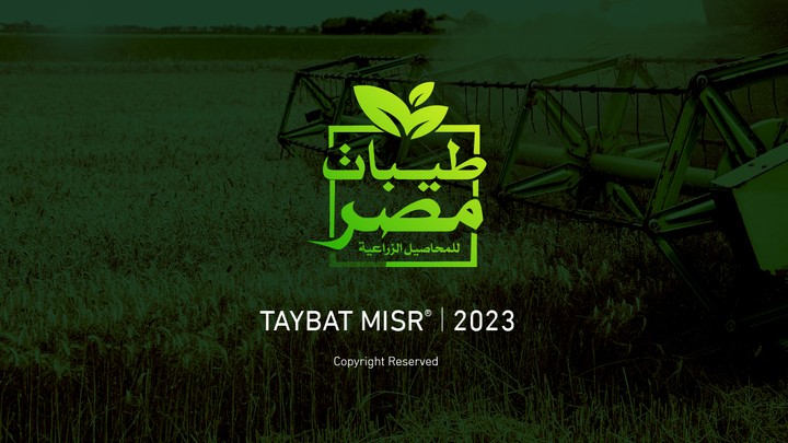 هوية شركة حاصلات زراعية .. Taybat Misr branding