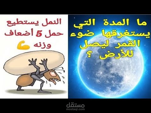 مونتاج فيديو عن اغرب معلومات