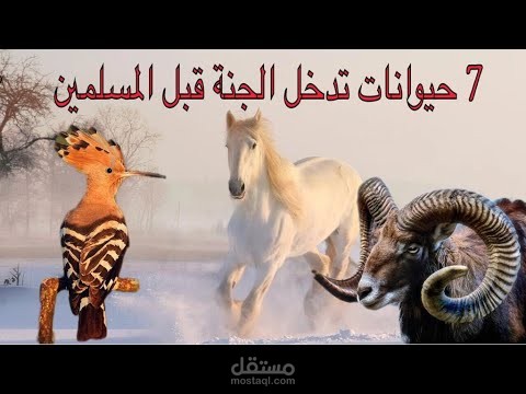 مونتاج فيديو عن حيوانات يدخلها الله الجنة