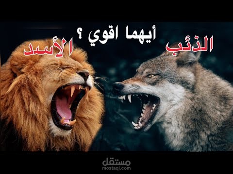 مونتاج فيديو حيوانات