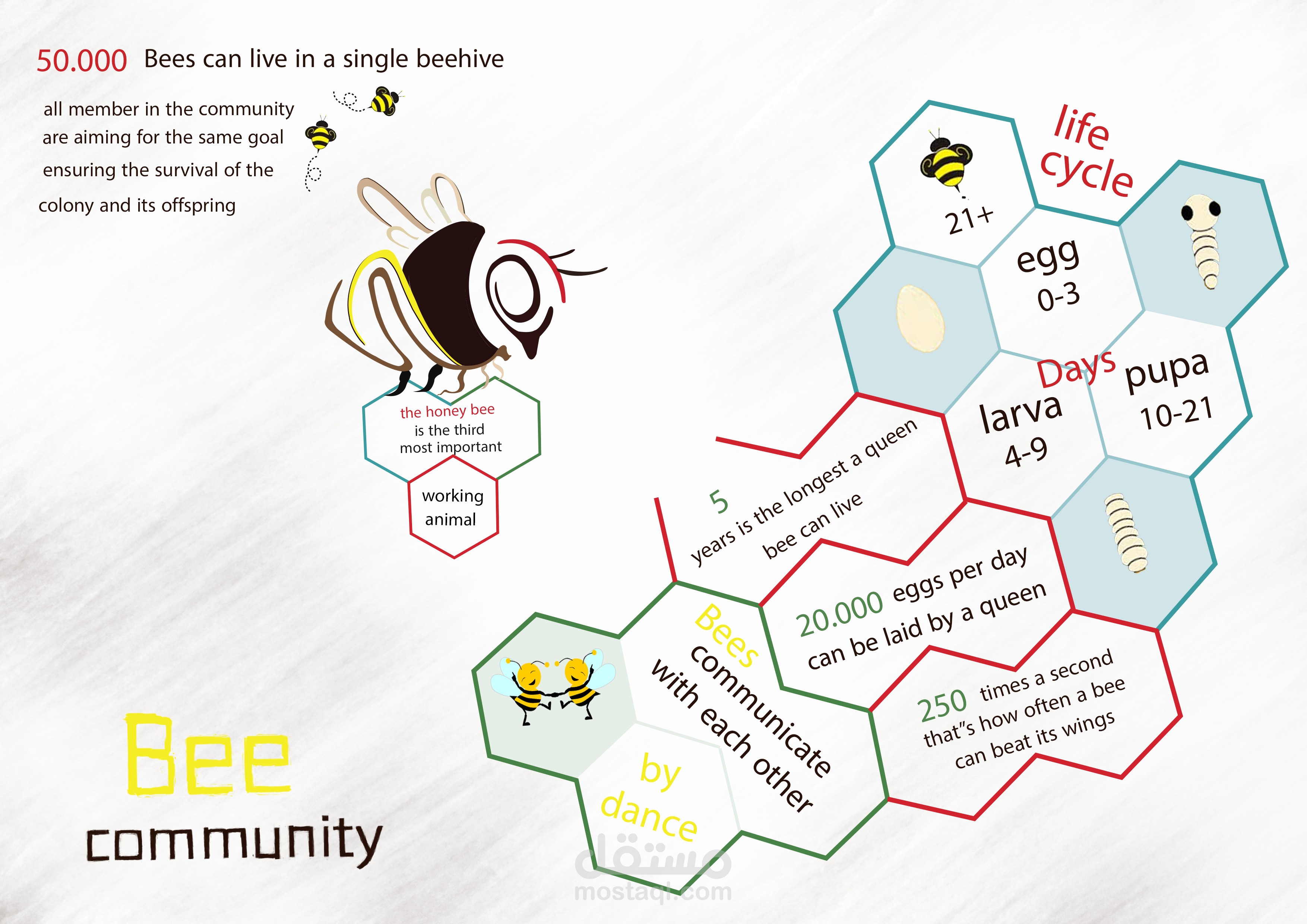 bee community | infographic