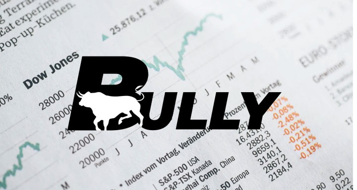 BULLY LOGO DESIGN