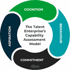 قياس كفاءة الإدارات ( بالشركات والمصانع) CAPABILITY ASSESSMENT