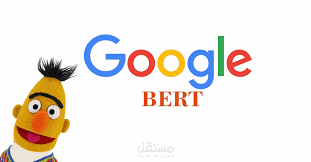 Reviews Classification using BERT