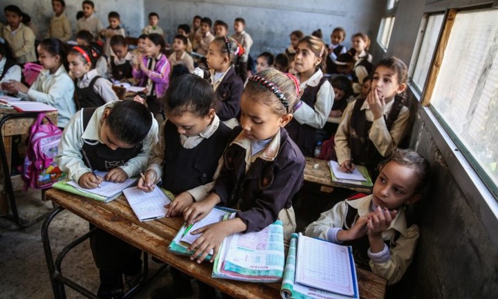 أزمة التعليم في مصر - هل نحتاج إلي نهضة محمد علي التعليمية مرة أخري؟
