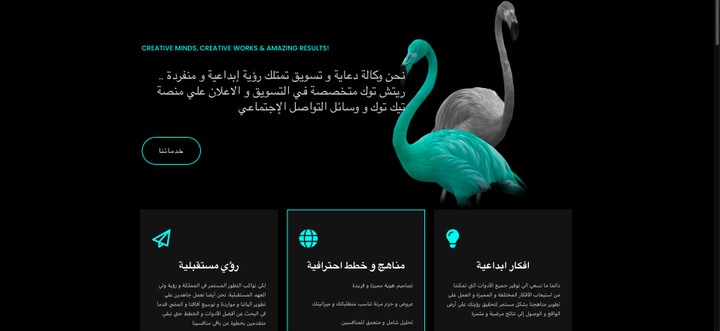 تصميم موقع الكتروني لوكالة دعاية اعلانية علي مواقع التواصل الاجتماعي ReachTok