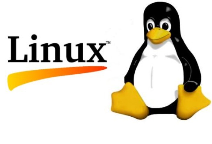 Exploring the Evolution of Linux