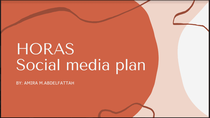 Social media plan