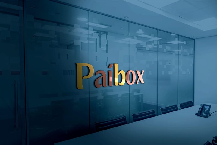 Paibox logo design