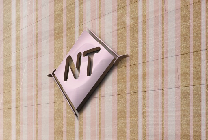 logo nt