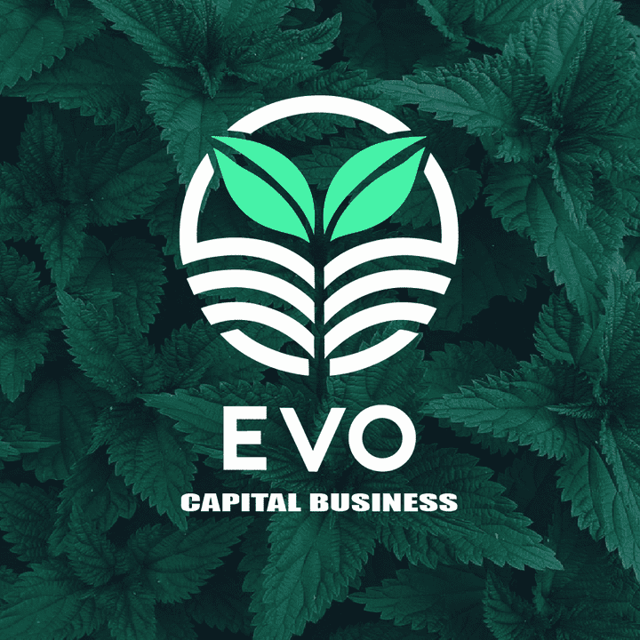 EVO CAPITAL BUSINESS LOGO DESIGN