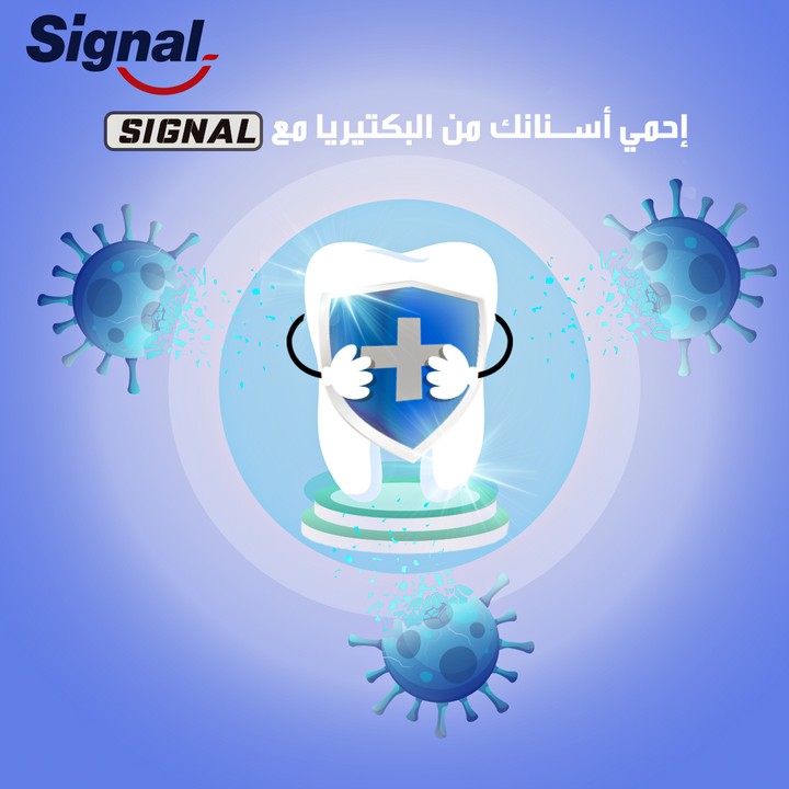 signal social media design