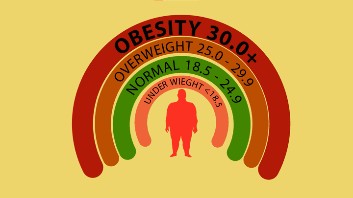 Obesity Motion Graphics