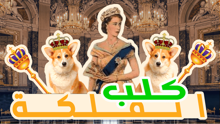 فصيلة الكلاب المفضلة لدي الملكة البريطانية اليزابيث الثانية ؛ وهوسها بها !